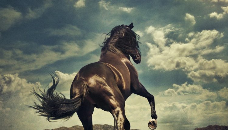 BRUCE SPRINGSTEEN ANTICIPA SU NUEVO ÁLBUM