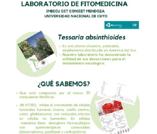 Investigaci&oacute;n de flora aut&oacute;ctona en beneficio de pacientes C&aacute;ncer